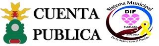 CUENTA PUBLICA
